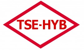 TSE-HYB